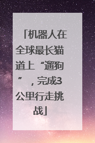 机器人在全球最长猫道上“遛狗”，完成3公里行走挑战
