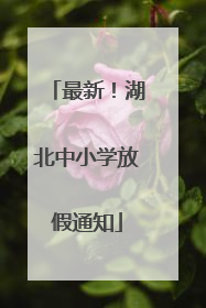 最新！湖北中小学放假通知