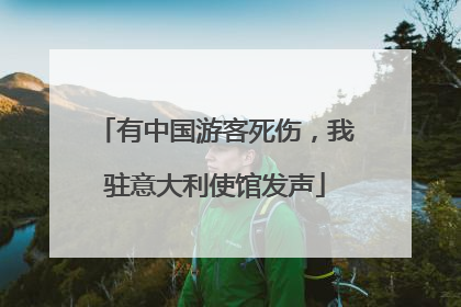 有中国游客死伤，我驻意大利使馆发声
