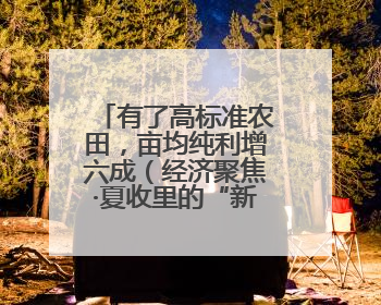 有了高标准农田，亩均纯利增六成（经济聚焦·夏收里的“新选手”）