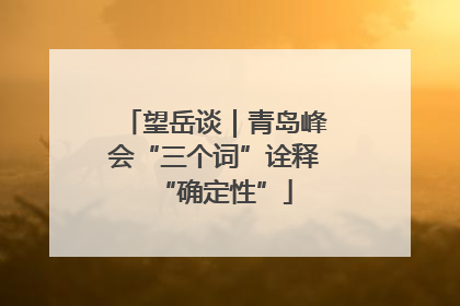 望岳谈｜青岛峰会“三个词”诠释“确定性”