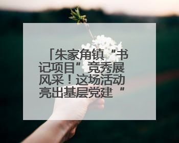 朱家角镇“书记项目”竞秀展风采！这场活动亮出基层党建“成绩单”
