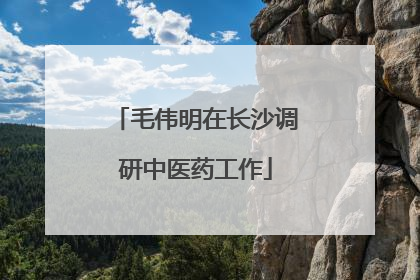 毛伟明在长沙调研中医药工作