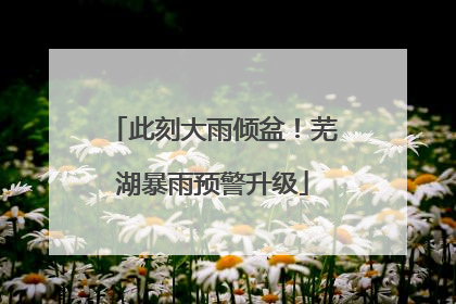 此刻大雨倾盆！芜湖暴雨预警升级