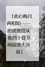 此心梅月两相知——唐建教授从教四十载书画展盛大开幕