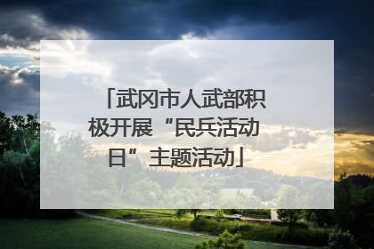 武冈市人武部积极开展“民兵活动日”主题活动
