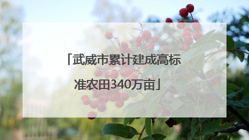 武威市累计建成高标准农田340万亩