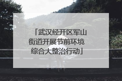 武汉经开区军山街道开展节前环境综合大整治行动