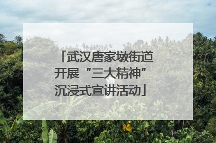 武汉唐家墩街道开展“三大精神”沉浸式宣讲活动