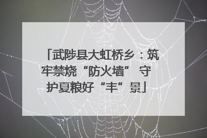 武陟县大虹桥乡：筑牢禁烧“防火墙” 守护夏粮好“丰”景