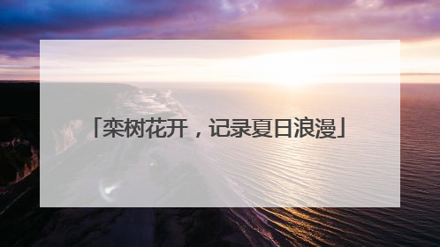 栾树花开，记录夏日浪漫