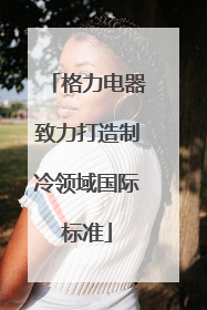 格力电器致力打造制冷领域国际标准