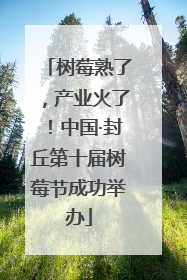 树莓熟了，产业火了！中国·封丘第十届树莓节成功举办