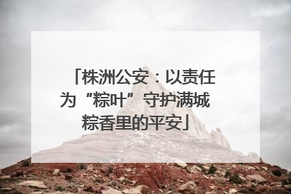 株洲公安：以责任为“粽叶”守护满城粽香里的平安