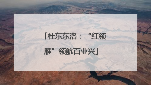 桂东东洛：“红领雁”领航百业兴