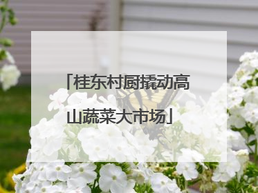 桂东村厨撬动高山蔬菜大市场