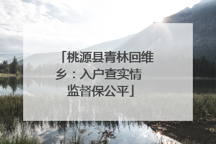 桃源县青林回维乡：入户查实情 监督保公平