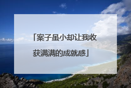 案子虽小却让我收获满满的成就感