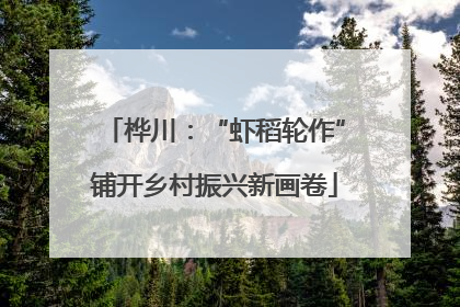 桦川：“虾稻轮作”铺开乡村振兴新画卷