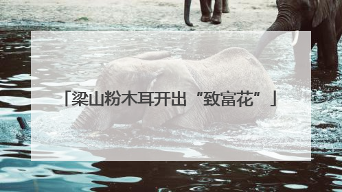 梁山粉木耳开出“致富花”