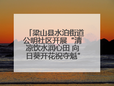 梁山县水泊街道公明社区开展“清凉饮水润心田 向日葵开花祝夺魁”助考活动