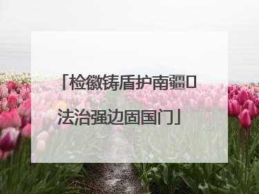 检徽铸盾护南疆 法治强边固国门