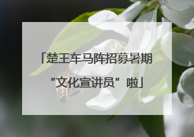 楚王车马阵招募暑期“文化宣讲员”啦