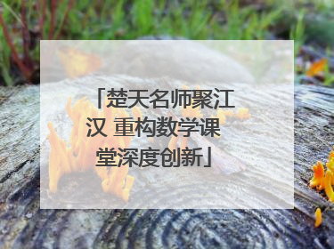 楚天名师聚江汉 重构数学课堂深度创新