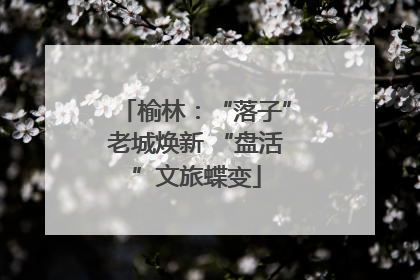 榆林：“落子”老城焕新 “盘活”文旅蝶变
