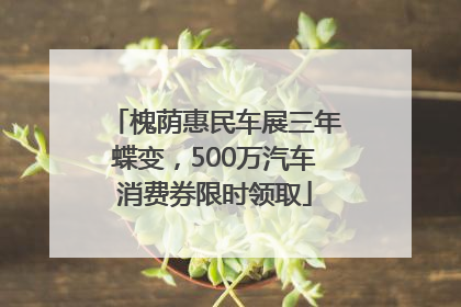 槐荫惠民车展三年蝶变，500万汽车消费券限时领取