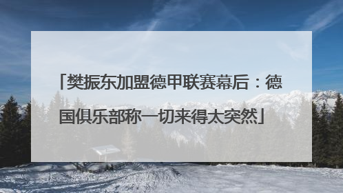 樊振东加盟德甲联赛幕后：德国俱乐部称一切来得太突然