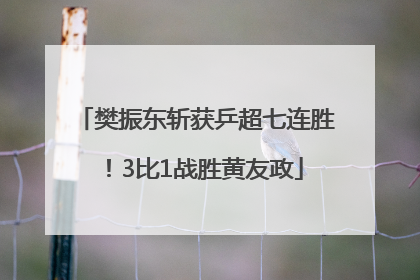 樊振东斩获乒超七连胜！3比1战胜黄友政