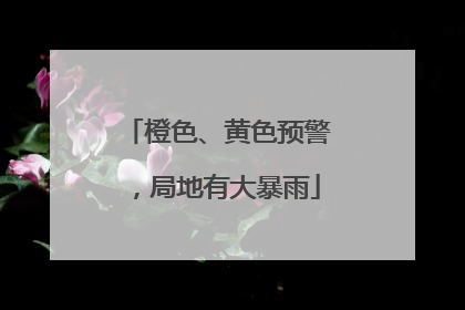 橙色、黄色预警，局地有大暴雨