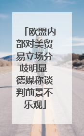 欧盟内部对美贸易立场分歧明显 德媒称谈判前景不乐观