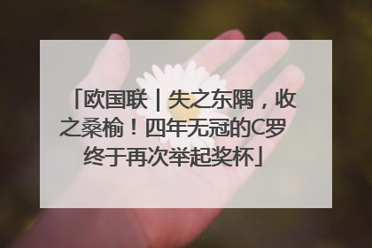 欧国联｜失之东隅，收之桑榆！四年无冠的C罗终于再次举起奖杯