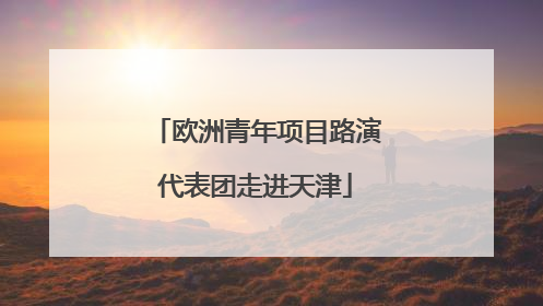 欧洲青年项目路演代表团走进天津