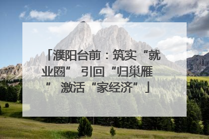 濮阳台前：筑实“就业圈” 引回“归巢雁” 激活“家经济”