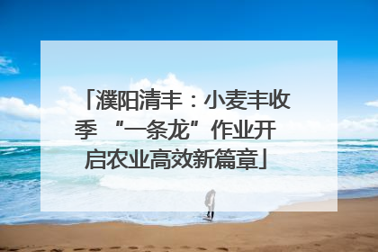 濮阳清丰：小麦丰收季 “一条龙”作业开启农业高效新篇章