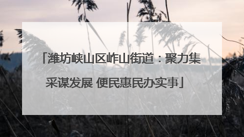 潍坊峡山区岞山街道：聚力集采谋发展 便民惠民办实事