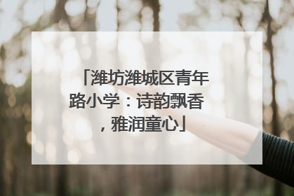 潍坊潍城区青年路小学：诗韵飘香，雅润童心