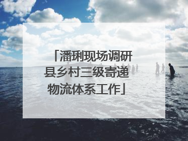 潘琍现场调研县乡村三级寄递物流体系工作