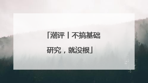潮评丨不搞基础研究，就没根