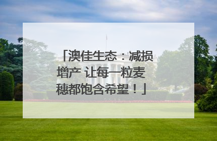 澳佳生态：减损增产 让每一粒麦穗都饱含希望！