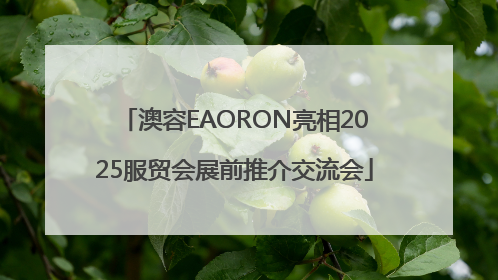 澳容EAORON亮相2025服贸会展前推介交流会
