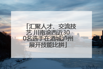 汇聚人才、交流技艺 川南渝西近300名选手在酒城泸州展开技能比拼