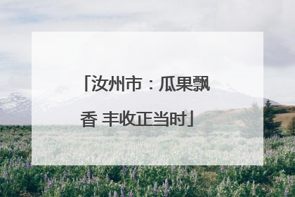 汝州市：瓜果飘香 丰收正当时