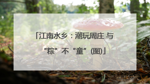 江南水乡：潮玩周庄 与“粽”不“童”(图)