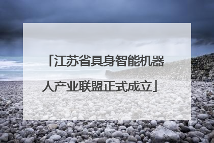 江苏省具身智能机器人产业联盟正式成立