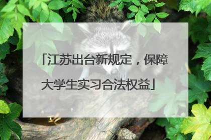 江苏出台新规定，保障大学生实习合法权益