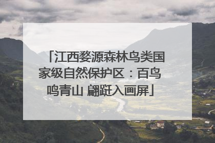 江西婺源森林鸟类国家级自然保护区：百鸟鸣青山 翩跹入画屏